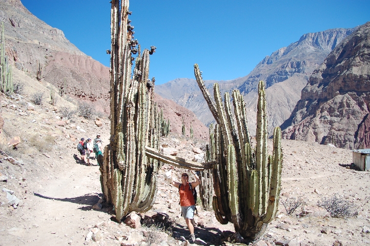 m�chtig gewaltig....JPG