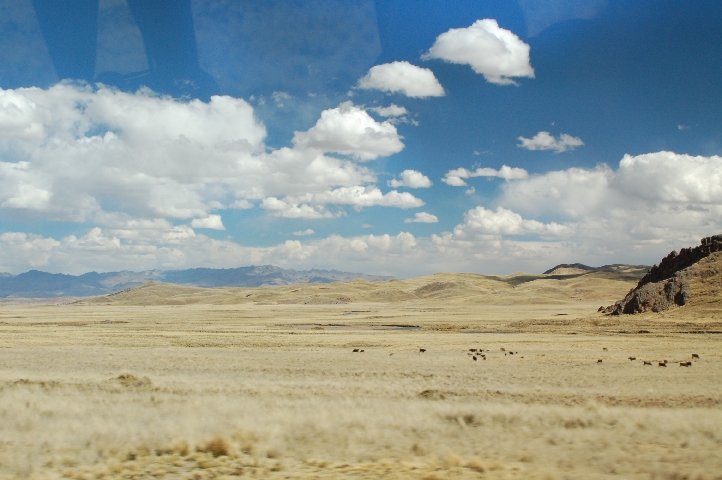 Altiplano.JPG